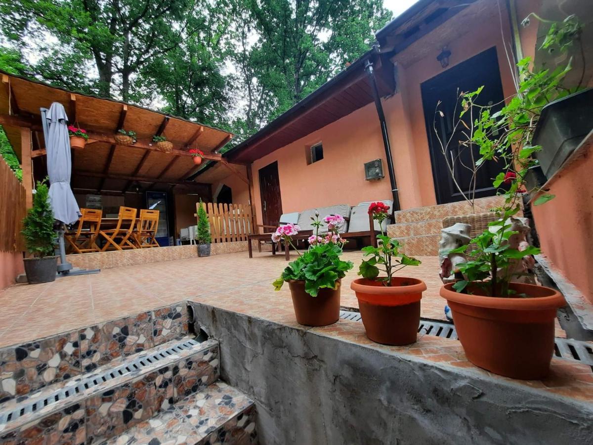 Casa De Vacanta Emd Eselnita Luaran gambar