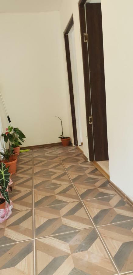 Casa De Vacanta Emd Eselnita Luaran gambar